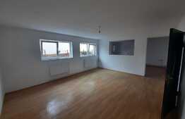 Casa individuala, 509 mp teren intravilan, Lunca Cetatuii