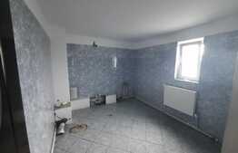 Casa individuala, 509 mp teren intravilan, Lunca Cetatuii