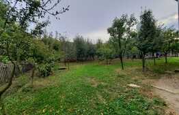 Casa individuala de 6 camere, 217 mp, 2000 mp de teren, zona Chicerea