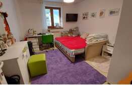 Case in oras de 242 mp utili, teren 667 mp, zona Sararie