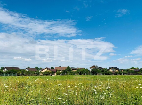 Teren de vânzare Vorovesti - 72174TV | BLITZ Iași | Poza6