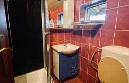 Business Fast Food de inchiriat, casa, central