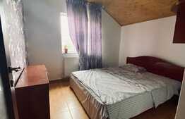 Business Fast Food de inchiriat, casa, central