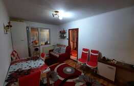 Apartament de 2 camere+compartiment birou/dressing, 46 mp, zona Alexandru cel Bun 