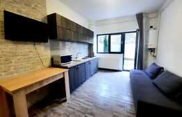 Apartament cu 2 camere, ultracentral, bloc nou, zona Palas