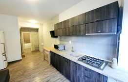 Apartament cu 2 camere, ultracentral, bloc nou, zona Palas