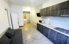 Apartament cu 2 camere, ultracentral, bloc nou, zona Palas