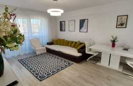 Apartament de 3 camere deosebit, decomandat, 100 mp., in zona rond Pacurari