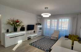 Apartament de 3 camere deosebit, decomandat, 100 mp., in zona rond Pacurari