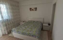 Apartament de 3 camere deosebit, decomandat, 100 mp., in zona rond Pacurari