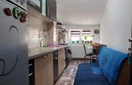 Apartament de o camere, 43 mp, zona Visan