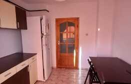 Apartament de 2 camere, 53 mp, zona Nicolina, ideal pentru investitie