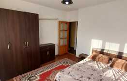 Apartament de 2 camere, 53 mp, zona Nicolina, ideal pentru investitie