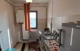 Apartament de 2 camere, 52 mp, zona Palas!