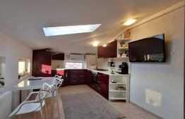 Apartament de 2 camere, mansarda, 44 mp, zona Tatarasi