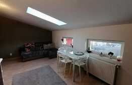 Apartament de 2 camere, mansarda, 44 mp, zona Tatarasi