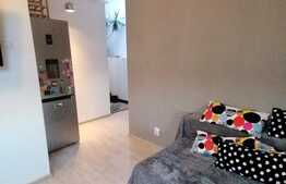 Apartament de 2 camere, mansarda, 44 mp, zona Tatarasi