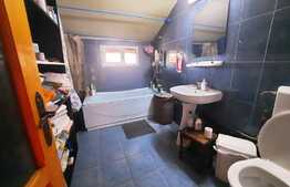 Casa pretabila pentru clinica, 246 mp, Ultracentral, Mitropoliei