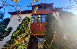 Casa pretabila pentru clinica, 246 mp, Ultracentral, Mitropoliei