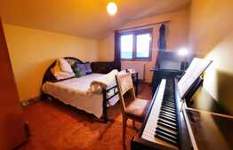 Casa pretabila pentru clinica, 246 mp, Ultracentral, Mitropoliei