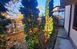 Casa pretabila pentru clinica, 246 mp, Ultracentral, Mitropoliei