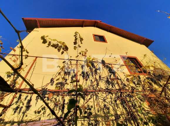 Casa de vânzare 7 camere Ultracentral - 74949CV | BLITZ Iași | Poza5