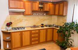 Penthouse concept unic pe 3 niveluri, 6 camere, 234 mp, terasa 39 mp, zona CUG