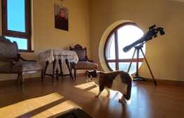 Vila de 6 camere, 242 mp utili, 485 mp teren, crama, Copou