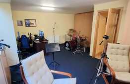 Vila de 6 camere, 242 mp utili, 485 mp teren, crama, Copou