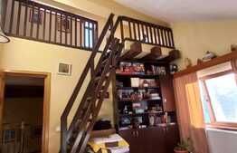 Vila de 6 camere, 242 mp utili, 485 mp teren, crama, Copou