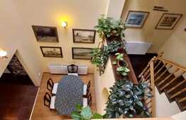 Vila de 6 camere, 242 mp utili, 485 mp teren, crama, Copou