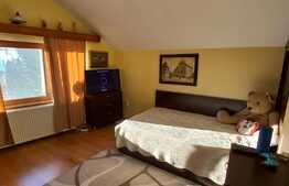 Vila de 6 camere, 242 mp utili, 485 mp teren, crama, Copou