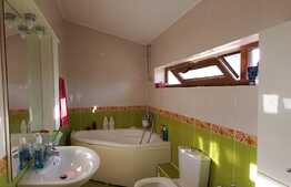 Vila de 6 camere, 242 mp utili, 485 mp teren, crama, Copou