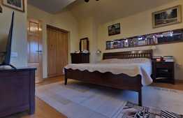 Vila de 6 camere, 242 mp utili, 485 mp teren, crama, Copou