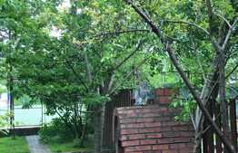 Vila de 6 camere, 242 mp utili, 485 mp teren, crama, Copou