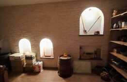 Vila de 6 camere, 242 mp utili, 485 mp teren, crama, Copou