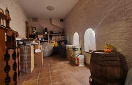 Vila de 6 camere, 242 mp utili, 485 mp teren, crama, Copou