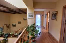 Vila de 6 camere, 242 mp utili, 485 mp teren, crama, Copou