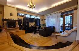 Vila de 6 camere, 242 mp utili, 485 mp teren, crama, Copou