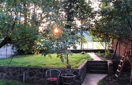 Vila de 6 camere, 242 mp utili, 485 mp teren, crama, Copou