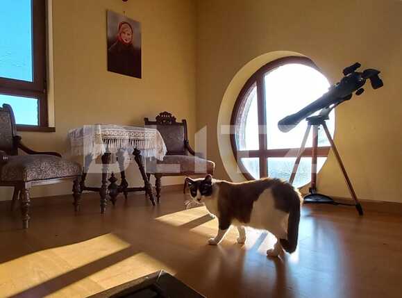 Casa de vânzare 6 camere Copou - 75066CV | BLITZ Iași | Poza11