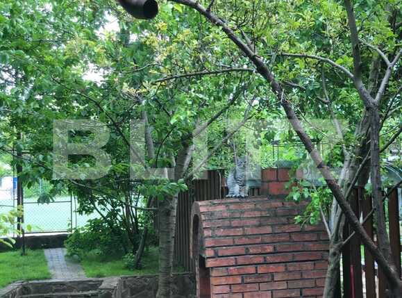 Casa de vânzare 6 camere Copou - 75066CV | BLITZ Iași | Poza17