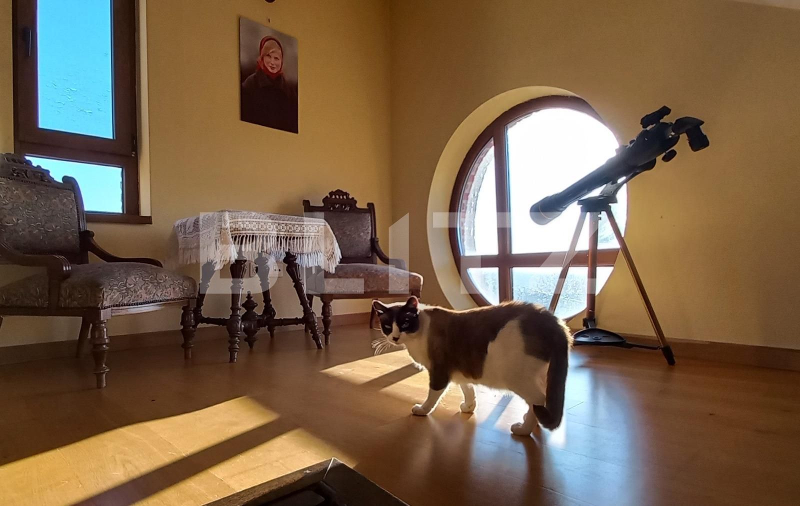 Casa de vânzare 6 camere Copou - 75066CV | BLITZ Iași | Poza11