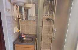 Camera de camin, 17 mp, in zona Nicolina 2