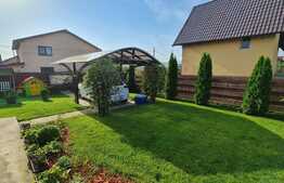 Casa de 3 camere, statie de alimentare electrica auto, Lunca Cetatuii