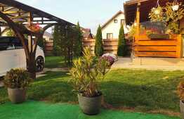 Casa de 3 camere, statie de alimentare electrica auto, Lunca Cetatuii