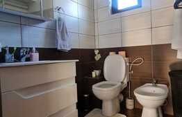 Casa de 3 camere, statie de alimentare electrica auto, Lunca Cetatuii