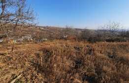 Teren 583 mp intravilan, utilitati pe teren, sat Ciurbesti