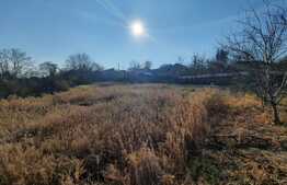 Teren 583 mp intravilan, utilitati pe teren, sat Ciurbesti