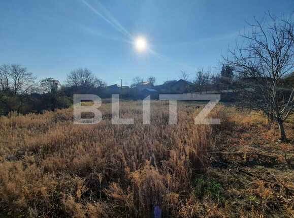 Teren de vânzare Sud-Vest - 75601TV | BLITZ Iași | Poza3